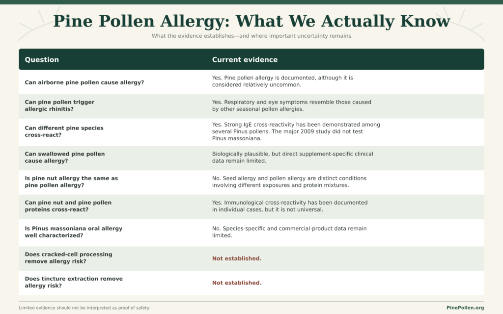 pine pollen allergy what we actually know