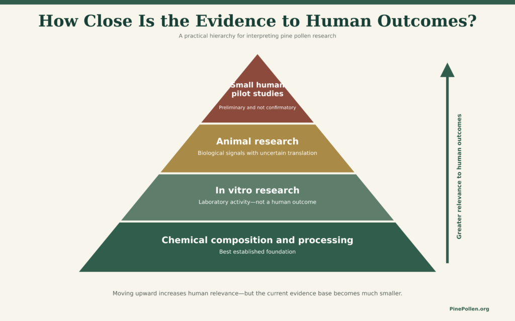Pine Pollen Research: What Scientists Have Actually Studied pine pollen evidence pyramid revised